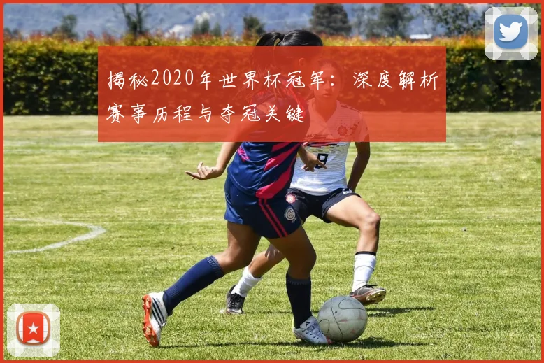 揭秘2020年世界杯冠军：深度解析赛事历程与夺冠关键