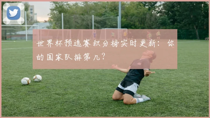 世界杯预选赛积分榜实时更新：你的国家队排第几？